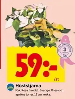 ICA Kvantum ICA Höststjärna erbjuda