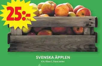 Äpplen