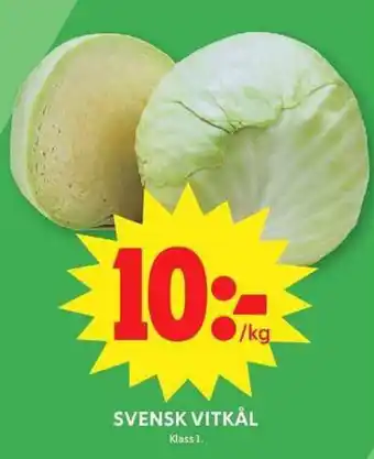 Vitkål