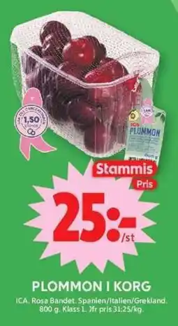 ICA Maxi Stammis Plommon i korg erbjuda