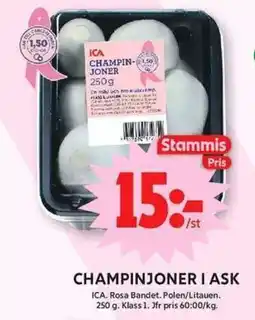 ICA Maxi Ica champinjoner i ask erbjuda
