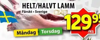 Helt/halvt lamm