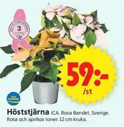 ICA Supermarket ICA Höststjärna erbjuda