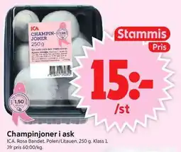 ICA Supermarket Ica champinjoner erbjuda