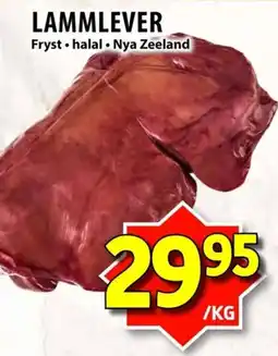 Matvärlden Tensta Lammlever erbjuda