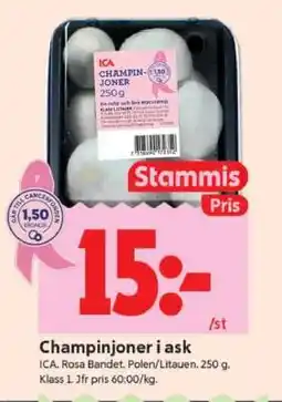 ICA Supermarket CHAMPINJONER I ASK erbjuda