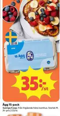 Coop Ägg 15-pack erbjuda