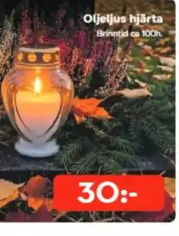Bo Ohlsson Oljeljus hjärta erbjuda