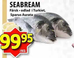 Matvärlden Tensta SEABREAM erbjuda