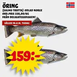 Nelins Öring erbjuda