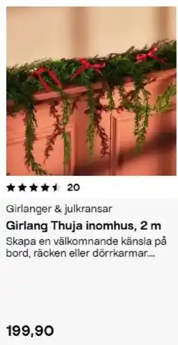 Clas Ohlson Girland Thuja inomhus erbjuda