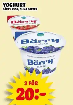 Nelins Bärry yoghurt erbjuda