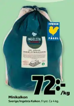 Stora Coop Ingelsta Minikalkon erbjuda