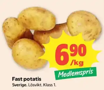 Fast potatis