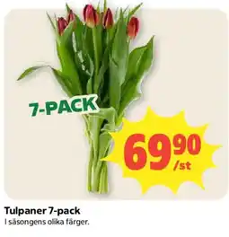 Coop Tulpaner 7-pack erbjuda