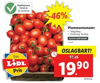 Lidl Plommontomater erbjuda