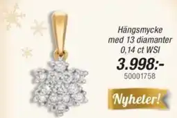 Guldfynd Hängsmycke med 13 diamanter erbjuda