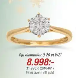Guldfynd Sju diamanter 0,20 ct WSI erbjuda