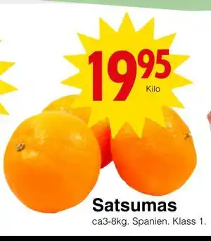 Satsumas