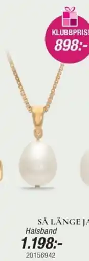Guldfynd Halsband erbjuda