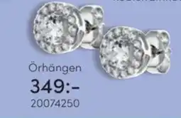 Guldfynd Örhängen erbjuda