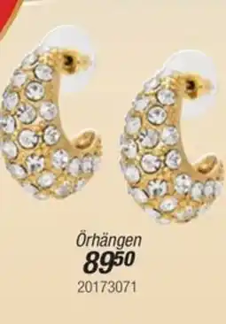 Guldfynd Örhängen erbjuda