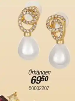 Guldfynd Örhängen erbjuda