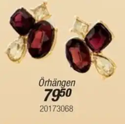 Guldfynd Örhängen erbjuda