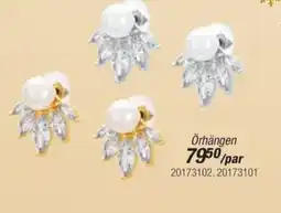 Guldfynd Örhängen erbjuda