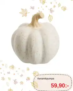 Blomsterlandet Keramikpumpa erbjuda