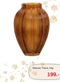 Blomsterlandet Glasvas Triana, hög erbjuda