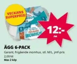 Tempo Ägg 6-pack erbjuda