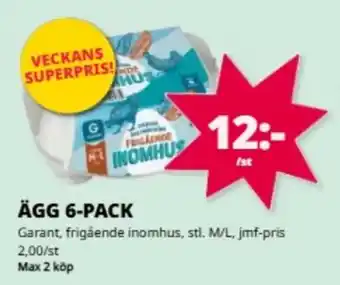 Ägg 6-pack
