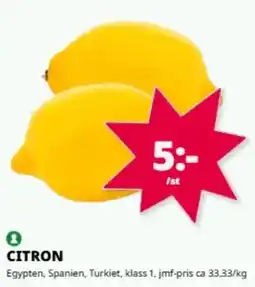 Tempo Citron erbjuda