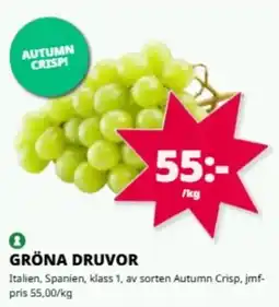 Tempo Gröna druvor erbjuda
