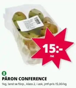 Tempo Pärön conference erbjuda