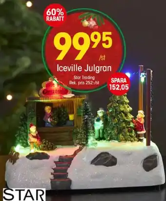 Star Iceville Julgran