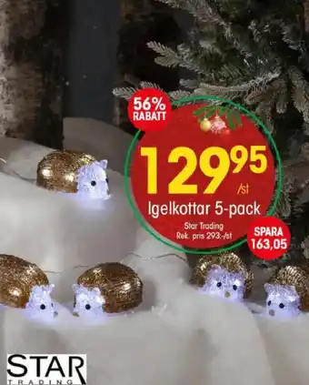 Star Trading igelkottar 5-pack