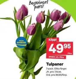 City Gross Tulpaner erbjuda