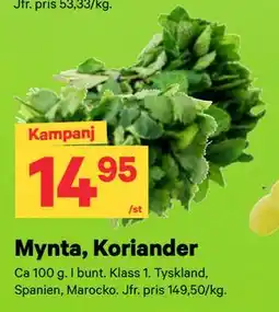 City Gross Mynta, Koriander erbjuda