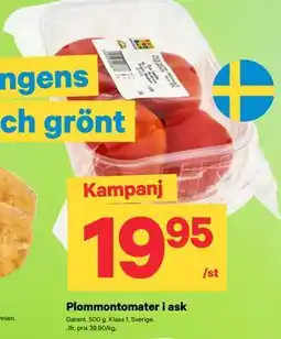 City Gross Plommontomater i ask erbjuda
