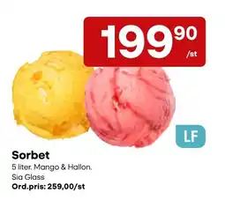 Snabbgross Sorbet erbjuda