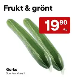 Snabbgross Gurka erbjuda