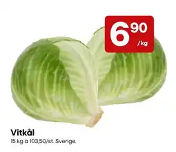 Snabbgross Vitkål erbjuda