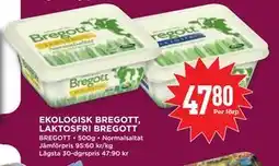 Willys EKOLOGISK BREGOTT, LAKTOSFRI BREGOTT erbjuda