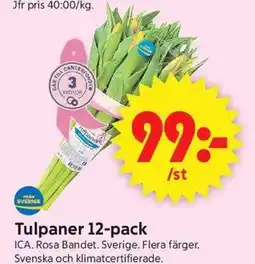 ICA Supermarket Tulpaner 12-pack erbjuda