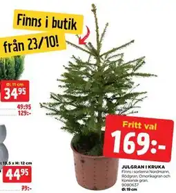 Jem&Fix JULGRAN I KRUKA erbjuda