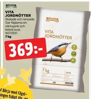 VITA JORDNÖTTER