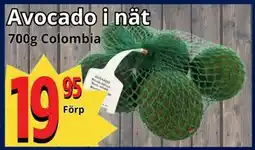 Supergrossen Avocado i nät erbjuda