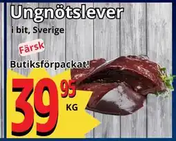 Supergrossen Ungnötslever erbjuda